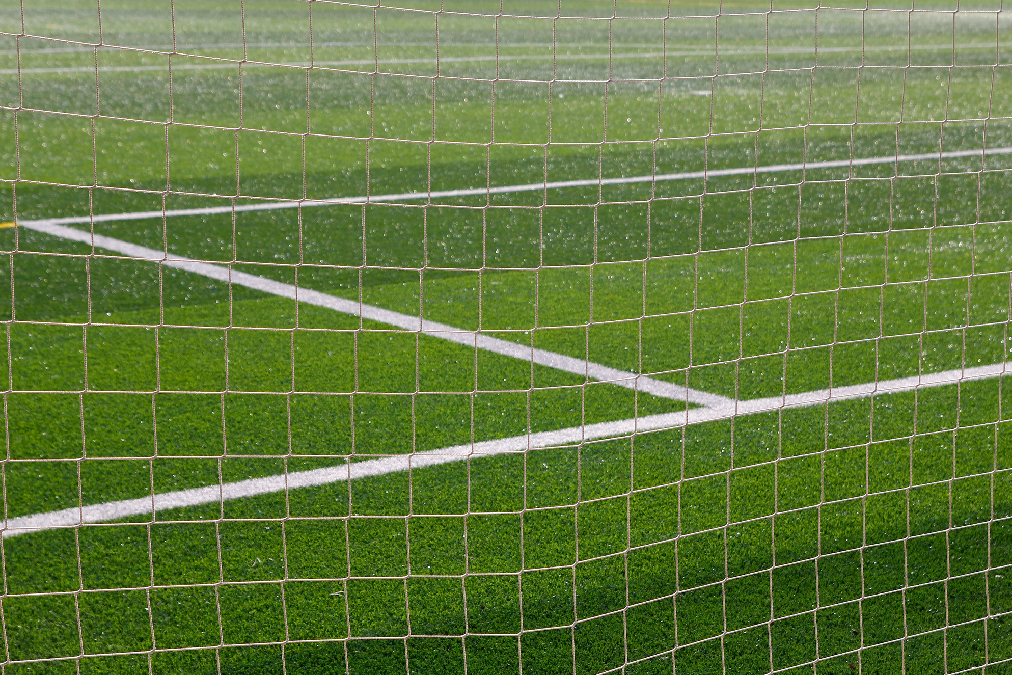 Football net and field